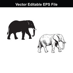 Fototapeta premium Elephant illustrations in silhouette and detailed drawing