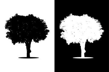Silhouettes icon Black white tree isolated on white black background. Tree icon design