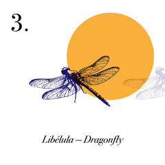 Hand-Drawn Insects and Spiders Art Set with Minimal Circle Background. Insectos.