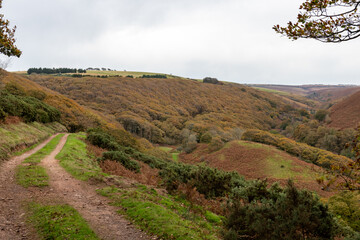Landscape photo of the autumn colours along the circular walk along the Weir Water river at Robbers bridge in Exmoor National Park