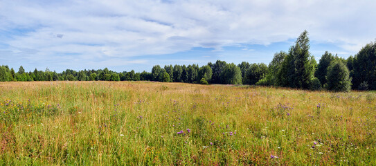 Russia. The village of Poloma. Manturovsky District, Kostroma Oblast. A field beyond the village outskirts.