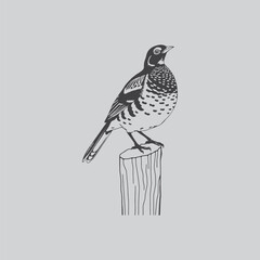 A detailed black and white illustration depicts a spotted bird perched elegantly on a wooden post