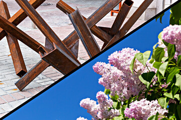War or peace. Abstract metal sculpture made of rusted steel beams contrasts beautifully with blooming lilac flowers under bright blue sky, creating striking visual harmony in outdoor setting