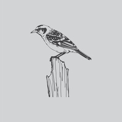 a detailed monochrome illustration depicts a small bird perched gracefully upon a weathered wooden stump