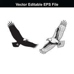 Fototapeta premium Two eagles in flight, one silhouette and one detailed