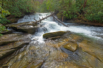 Secluded Forest Waterfall in a Mountain Stream