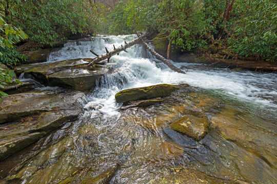 Secluded Forest Waterfall in a Mountain Stream - Powered by Adobe