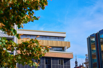 Modern apartment building with large windows, glass balconies and wooden facade against blue sky, framed by green leaves. Urban architecture detail. Concept of urban living and modern architecture