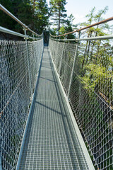 Le passage suspendu- Suisse Montagne