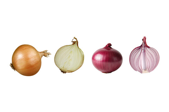 PNG image of Fresh onions including yellow and red varieties whole and halved are displayed against a for culinary or agricultural use showing their texture and layers on transparent background