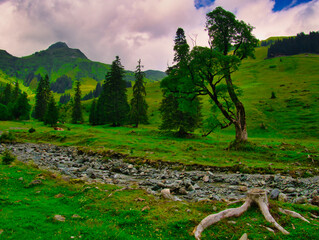 View on mountains near Saalbach Hinterglemm ski resort on a summer day