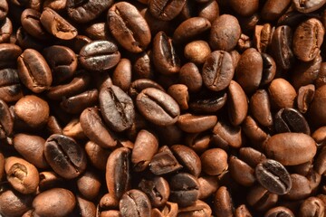 Grãos de café em torra media 
