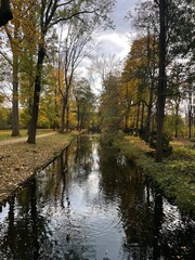 Autumn park landscape with lake and reflection in water