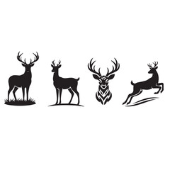 Diverse collection of animal illustrations bundle