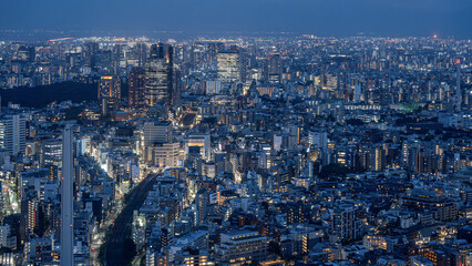 Obraz premium Tokyo Cityscape at Dusk with Illuminated Skyscrapers and Blue Horizon