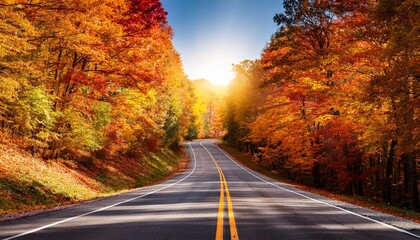 Fototapeta premium Autumn Road With Fall Foliage Drive