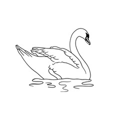 Monochrome hand drawn elegant swan swimming in water clipart