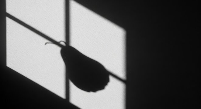 Abstract Shadow Of Pear Fruit Projected On Wall Surface And Window Light