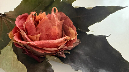 Elegant background with a craft flower made of fallen leaves and copy space. Romantic, creative design for greeting cards, invitations, Thanksgiving, autumn themes, Valentine's, Mother's Day projects