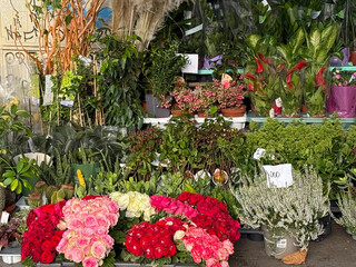 Flower shop stand with colorful bouquets and green plants. Urban market, floral commerce, and...