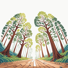 Looking up at Tall Trees along Dirt Road at Daytime in Green Forest