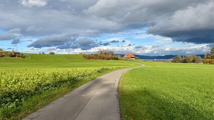 A sunny autumn walk through the rural paths of Risch in the canton of Zug, Switzerland, where trees with golden leaves line the peaceful countryside landscape.