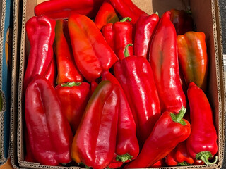 Red bell peppers displayed in wooden crate. Fresh produce, organic agriculture, and healthy...