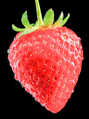 Fresh ripe strawberry covered in water droplets hanging against a black background with vibrant red color and detailed texture in high resolution close-up photograph