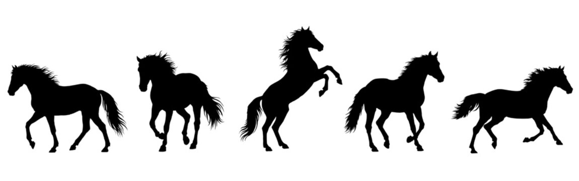 Collection of horse silhouettes in rearing, galloping, and walking poses isolated on white background. Black vector equine outline shape for 2026 Year of the Horse. Zodiac graphics, logo, print design