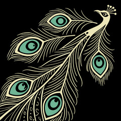 Detailed peacock feather eye pattern on black background