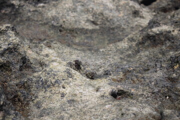 closeup rocks