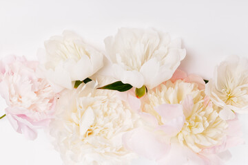Panoramic floral background with white and blush pink peonies on light surface, soft pastel composition for wedding stationery, spa branding, organic cosmetics, elegant minimalist design