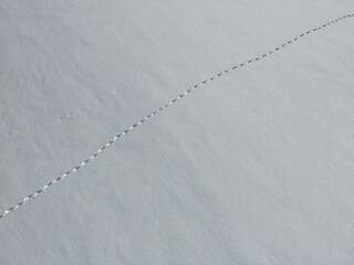Vertical aerial view of footprints in fresh snow in a vast snowfield - Vue a&eacute;rienne verticale de traces de pas dans la neige fraiche dans un immense champ de neige