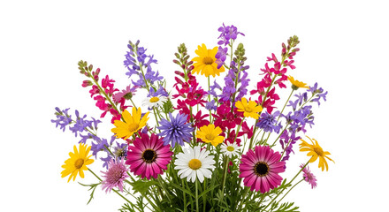 Vibrant Bouquet of Assorted Wildflowers in Pink Yellow Purple and White, isolated on a white or transparent background, cutout, PNG