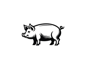 Fototapeta premium Stylized graphic of a happy domestic pig looking left, vector