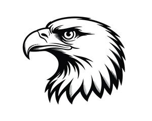 Obraz premium Graphic stylized bald eagle head vector illustration symbol design