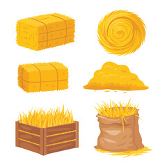 Collection of various hay forms including bales, piles, and sacks for farm animals and agriculture