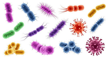 Diverse collection of colorful bacteria and viruses with rod and spherical shapes, isolated on a white or transparent background, cutout, PNG