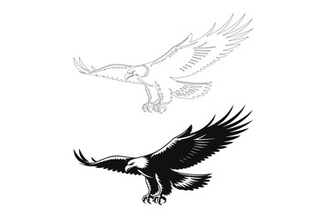 Obraz premium Majestic eagle in flight detailed sketch and silhouette