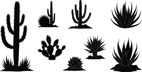 Desert cactus silhouettes, prickly pear and saguaro, agave and aloe plants, black vector icons, arid flora collection, botanical illustration, minimal design © It's Sohan Here