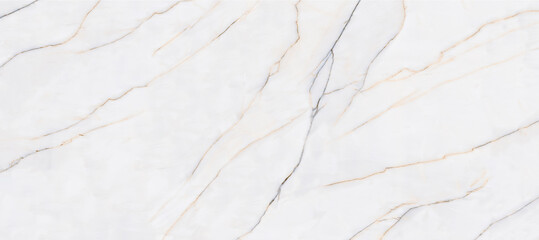 White spider marble stone texture with thin veins and a lot of details used for so many purposes such ceramic wall and floor tiles and 3d PBR materials.