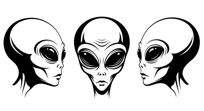 Grey Extraterrestrial Alien Head Set - Mysterious UFO Character Vector Illustration for Sci-Fi Design and Mascot
