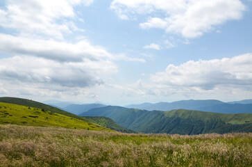 Sweeping mountains rise over sunlit meadow of grasses and wildflowers, creating peaceful rural scene ideal for nature, travel, and outdoor lifestyle visuals with scenic, expansive mood. Carpathians