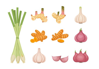 Illustration of Thai aromatic ingredients lemongrass galangal turmeric garlic and shallots
