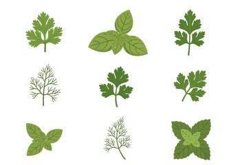 Nine illustrations of various green herbs arranged in a 3x3 grid