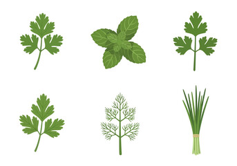 Six illustrations of green herbs arranged in two rows against a white background