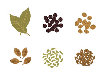 Six spice illustrations arranged in two rows on a white background