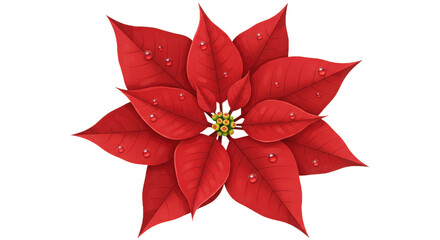 Vibrant red poinsettia flower with glistening dew drops, festive plant