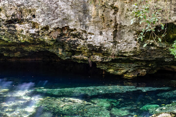 Obraz premium Cenote Cave Entrance in Solidaridad, Mexico