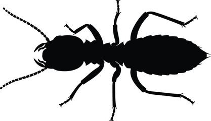 Termite silhouette illustration, insect anatomy vector, pest control icon, black design, entomology study, segmented body, antennae detail, biology concept